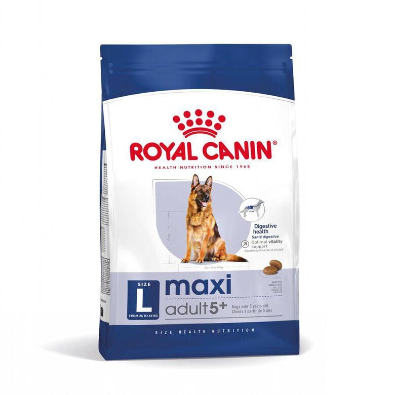 15 kg Royal Canin Maxi Adult 5+ pienso para perros senior de raza grande, , large Imagen numero 1