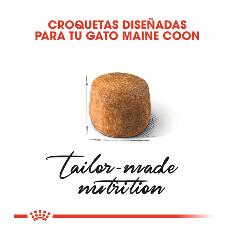 Royal Canin Adult Maine Coon pienso para gatos thumbnail