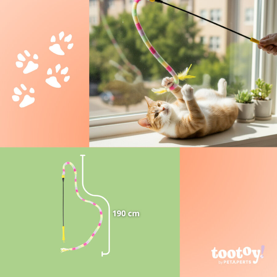 Tootoy! Caña Interactiva Colorida para gatos thumbnail