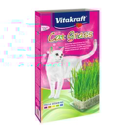 Vitakraft Cat Grass Hierba Gatera