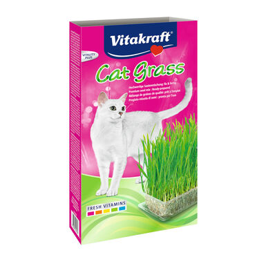 Vitakraft Cat Grass Hierba Gatera