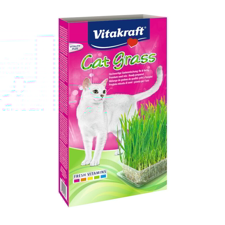 120 g Vitakraft Cat Grass Hierba Gatera,  Imagen numero 1 120 g Vitakraft Cat Grass Hierba Gatera, , large Imagen numero 1