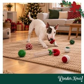 Wonder Christmas Bast&oacute;n de Caramelo Juguete para perros