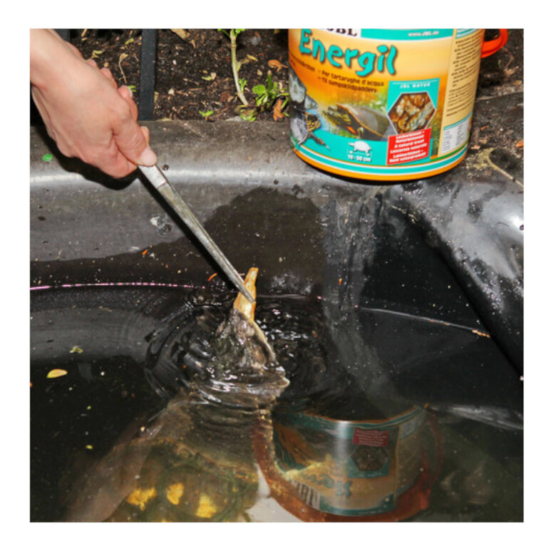 JBL Energil Peces y Crustáceos Deshidratados para Tortugas,  Imagen numero 2 JBL Energil Peces y Crustáceos Deshidratados para Tortugas, , large Imagen numero 2