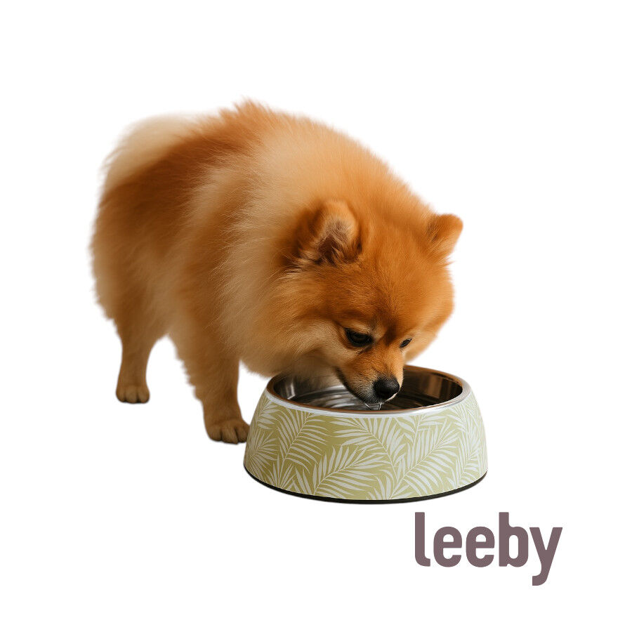 Leeby comedero acero inoxidable estampado verde para perros thumbnail