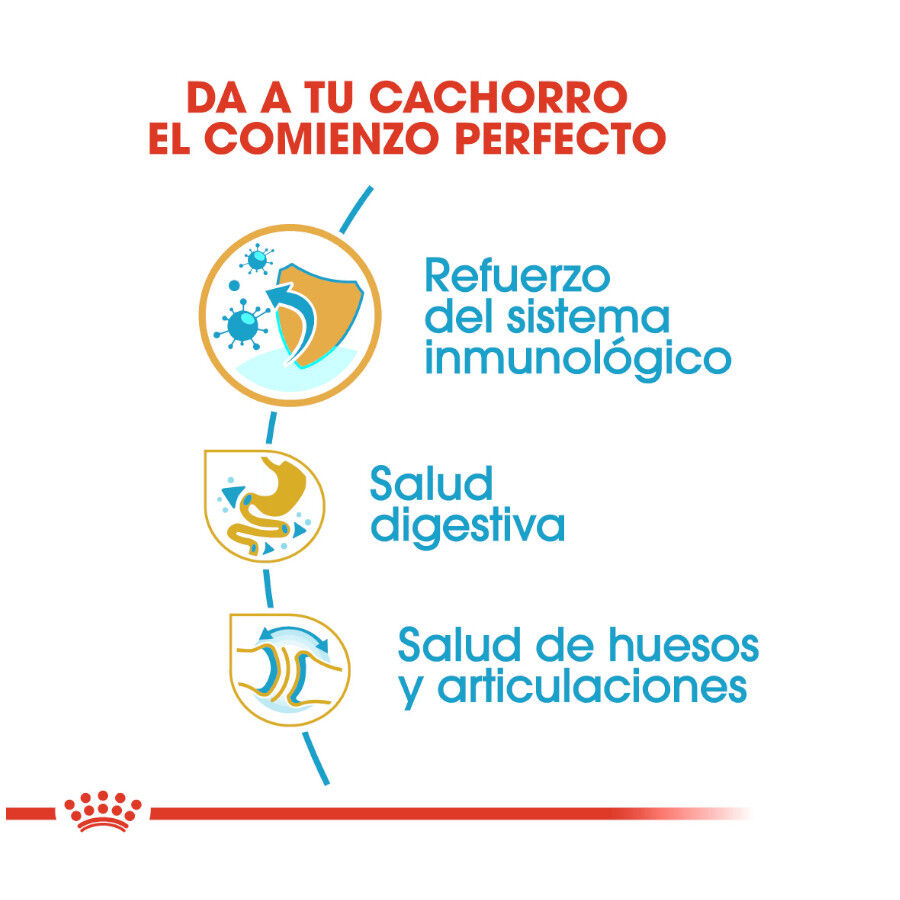 12 kg Royal Canin Puppy Bulldog pienso para cachorros, , large Imagen numero 7