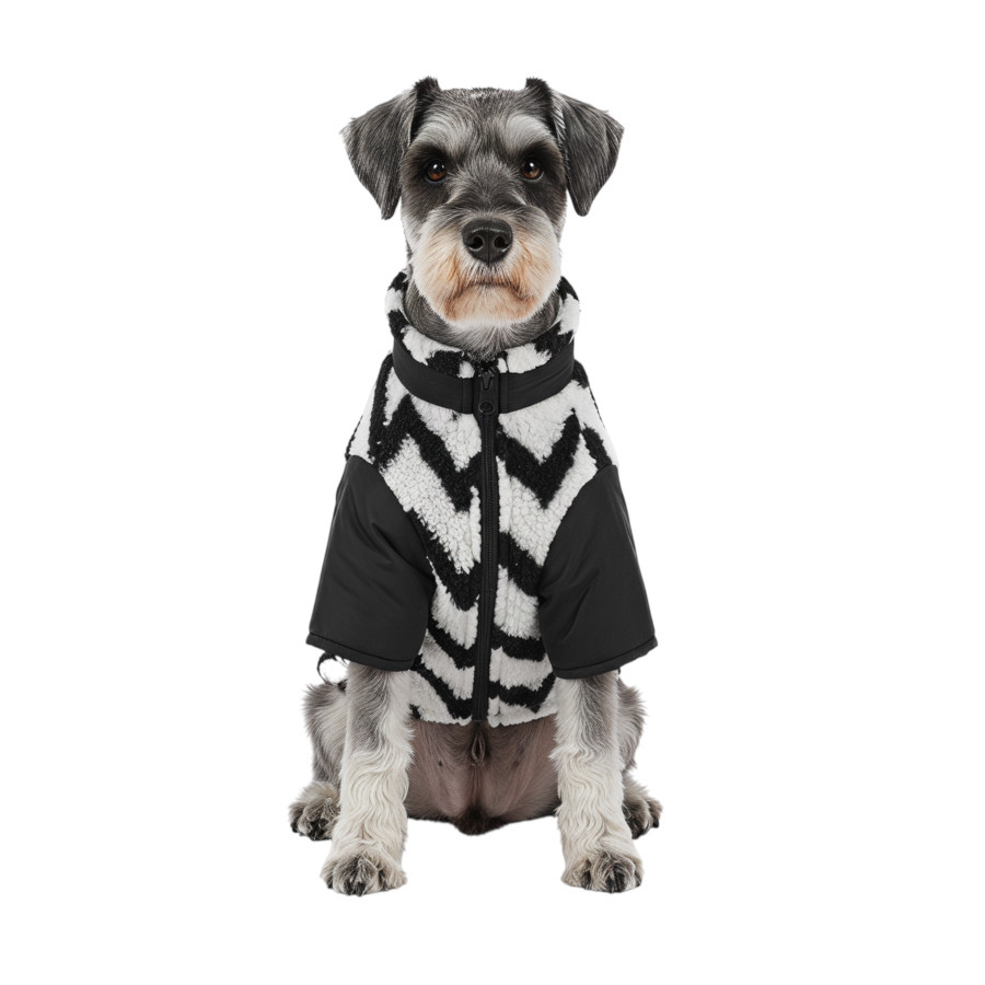 Gotoo Chaqueta Estampado ZigZag para perros, , large Imagen numero 7