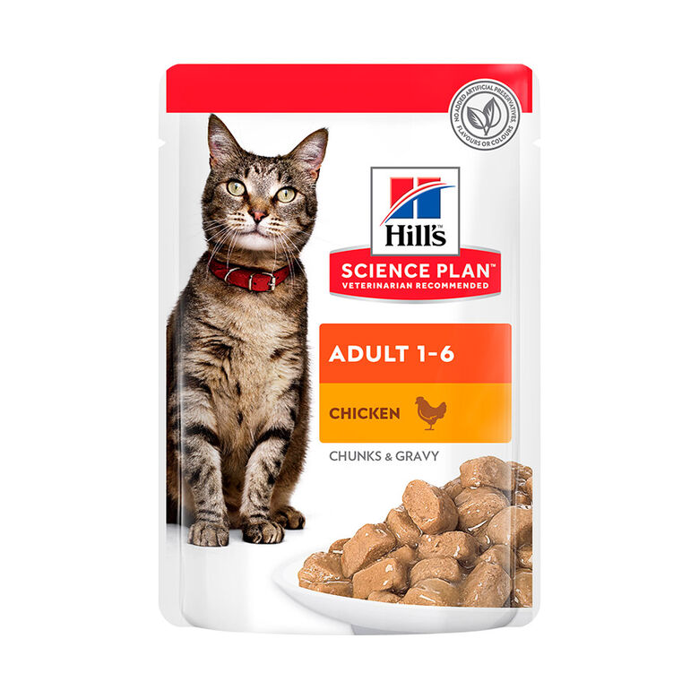 Hill&#039;s Science Plan Adult Pollo sobre para gatos thumbnail