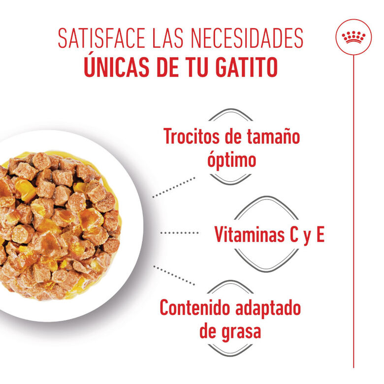 Royal Canin Kitten Sterilised gelatina para gatos thumbnail