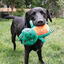 Kong Whoopz Cocodrilo peluche para perros, , large indicador imagen numero 2