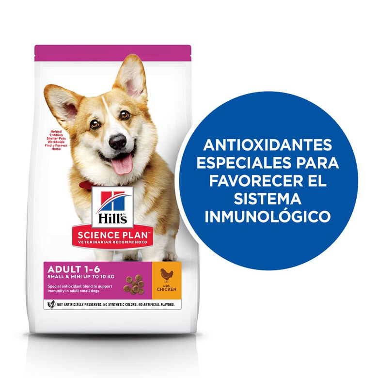 Hill&#039;s Science Plan Adult Small y Mini Pollo pienso para perros thumbnail