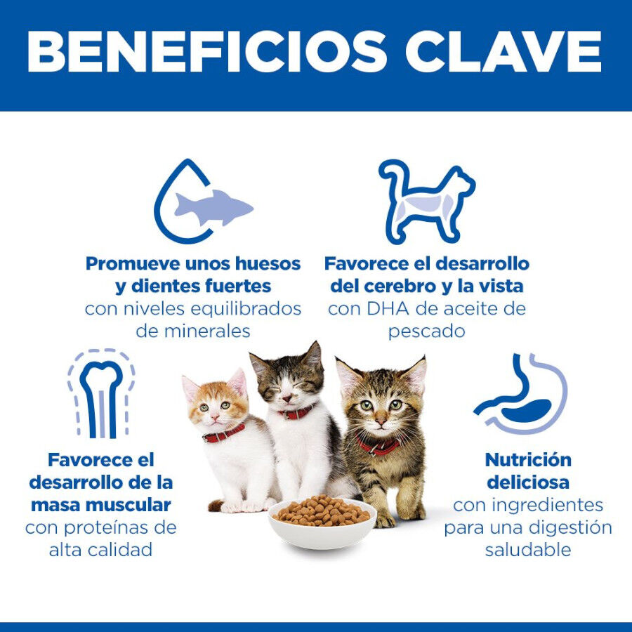 1.5 kg Hill's Science Plan Kitten Pollo pienso para gatos, , large Imagen numero 4