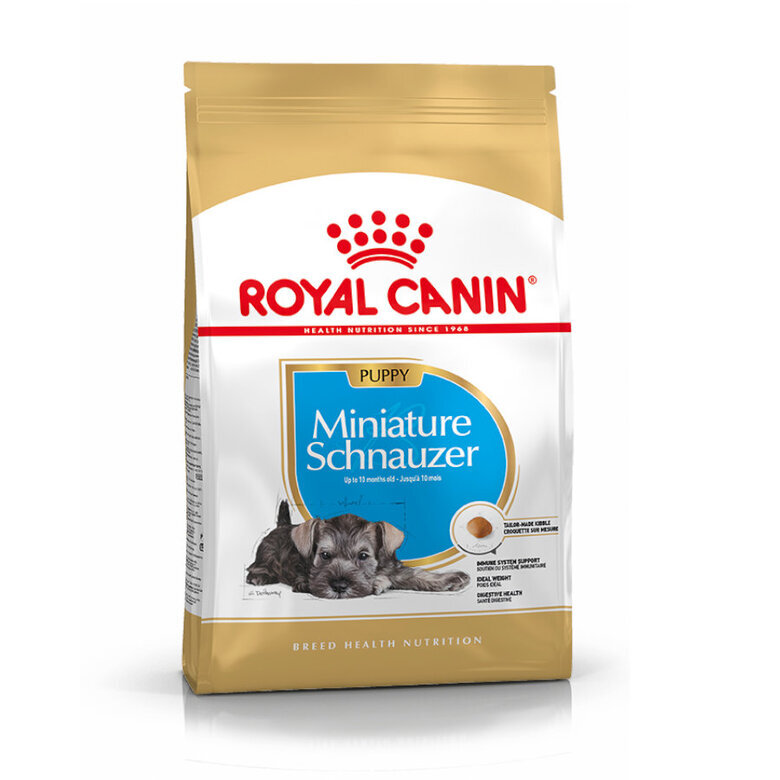 1.5 kg Royal Canin Puppy Miniature Schnauzer pienso para perros,  Imagen numero 3 1.5 kg Royal Canin Puppy Miniature Schnauzer pienso para perros, , large Imagen numero 3