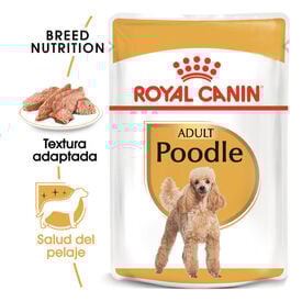 Royal Canin Adult Poodle Paté sobre para perros