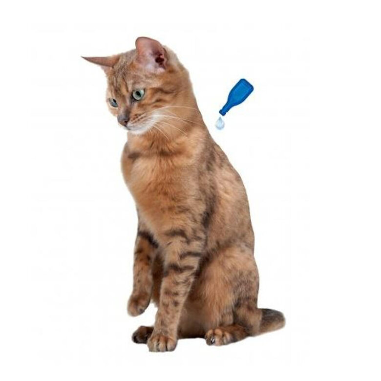 Beaphar Calming Pipetas Relajantes para gatos,  Imagen numero 3 Beaphar Calming Pipetas Relajantes para gatos, , large Imagen numero 3