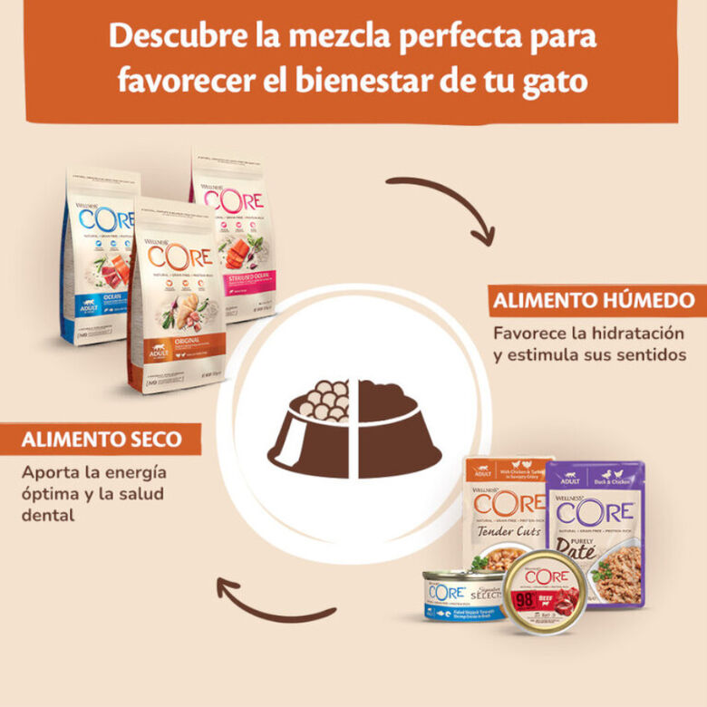 Wellness Core Chunky carne y pollo lata para gatos thumbnail