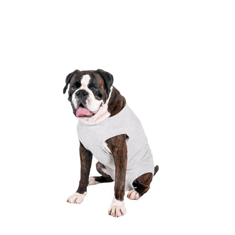 Flamingo Body Gris para perros,  Imagen numero 2 Flamingo Body Gris para perros, , large Imagen numero 2