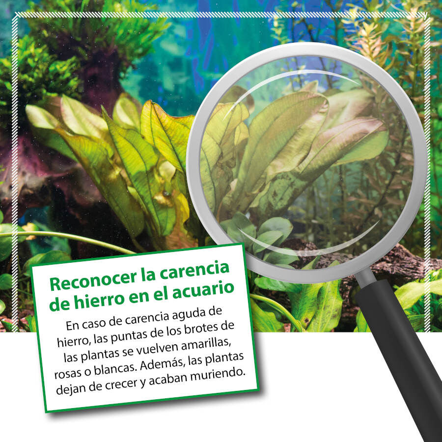 Microbe-Lift Plants FE Fertilizante de Hierro para acuarios thumbnail