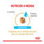 Royal Canin Adult 5+ Labrador pienso para perros, , large indicador imagen numero 4