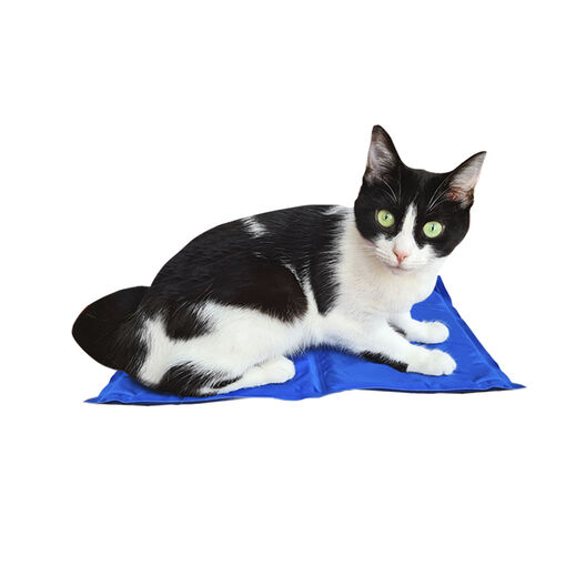 correcto Gángster Volverse loco Summer Vibes Cool Manta Refrescante para perros y gatos | Kiwoko