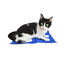 Summer Vibes Cool Manta Refrescante para perros y gatos, , large indicador imagen numero 1