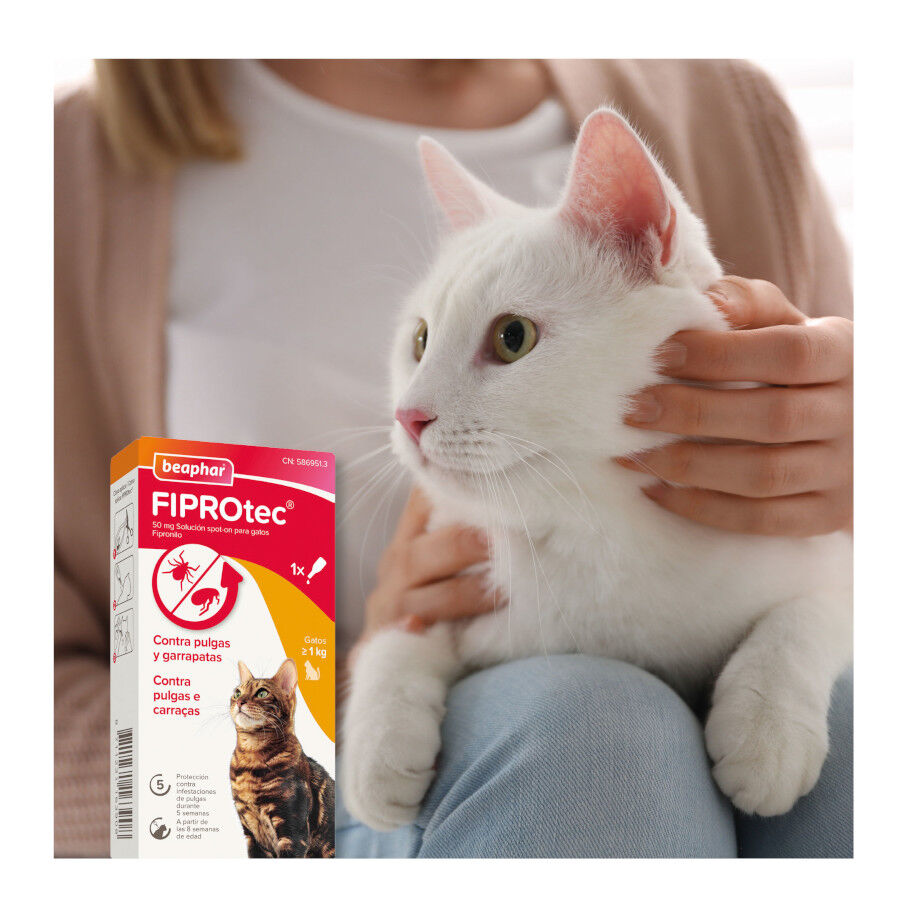 Beaphar Fiprotec Pipetas Antiparasitarias para gatos thumbnail