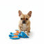 All For Paws My T Rex Azul Juguete para perros, , large indicador imagen numero 4