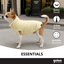 Gotoo Jersey Polar Amarillo para perros, , large indicador imagen numero 6