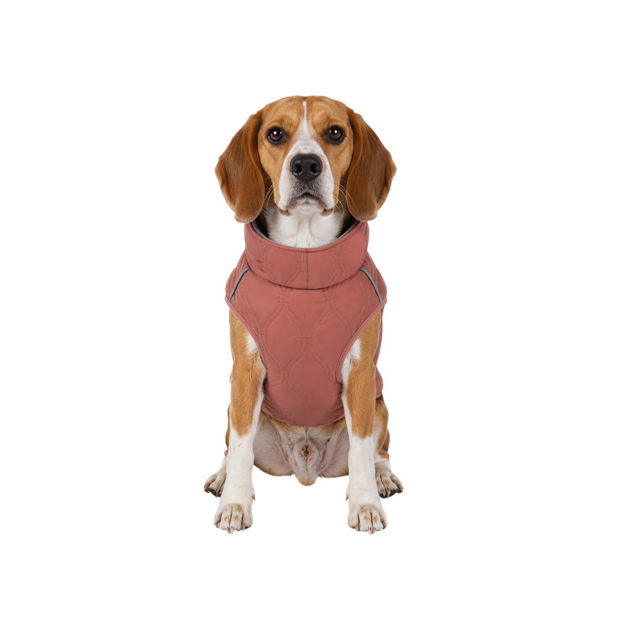 Gotoo Chaqueta Rosa para perros, , large Imagen numero 7