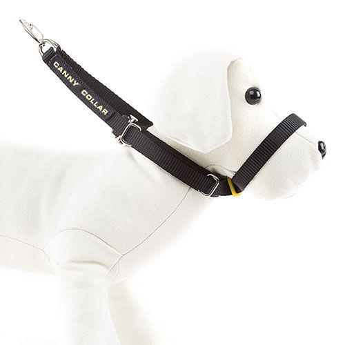 Canny collar de manejo para perros rebeldes Imagen numero 1