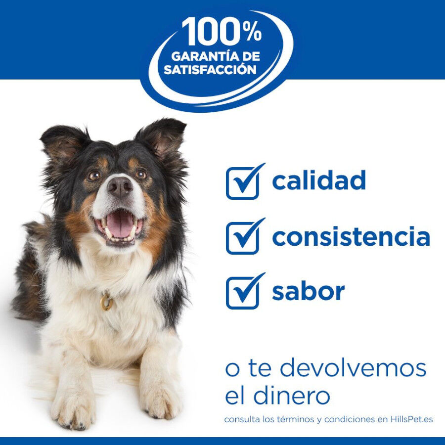 363 g Hill's Science Plan Mature Estofado con pollo y verduras lata para perros, , large Imagen numero 7
