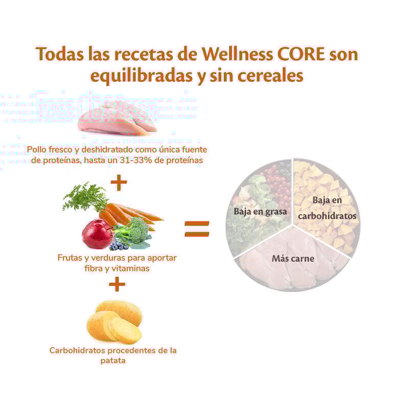 10 kg Wellness Core Puppy Large Original Pollo pienso para perros,  Imagen numero 3 10 kg Wellness Core Puppy Large Original Pollo pienso para perros, , large Imagen numero 3