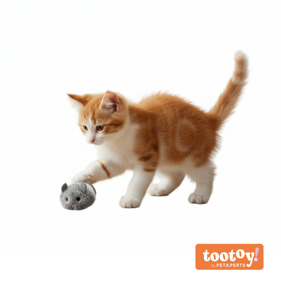 Tootoy! Rat&oacute;n Interactivo con Zumbido para gatitos, , large Imagen numero 9