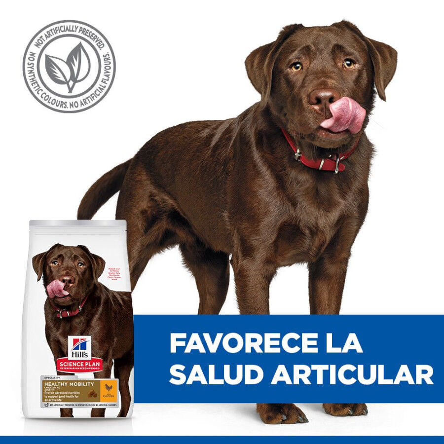 Hill&#039;s Science Plan Healthy Mobility Adult Large Pollo pienso para perros thumbnail