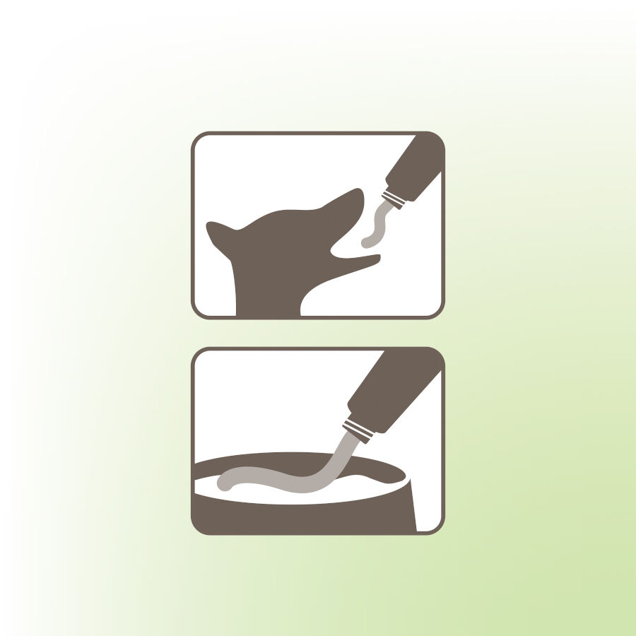 125 g Beaphar Vermipure Desparasitante pasta para perros, , large Imagen numero 5