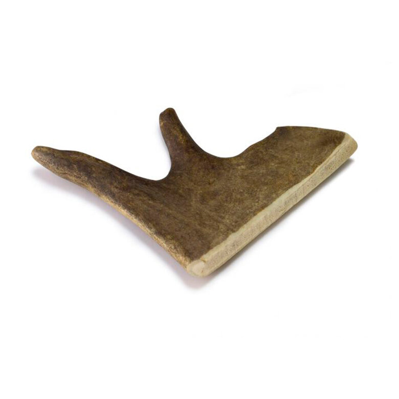 XL True Origins Wild Asta de Gamo Natural para perros,  Imagen numero 1 XL True Origins Wild Asta de Gamo Natural para perros, , large Imagen numero 1