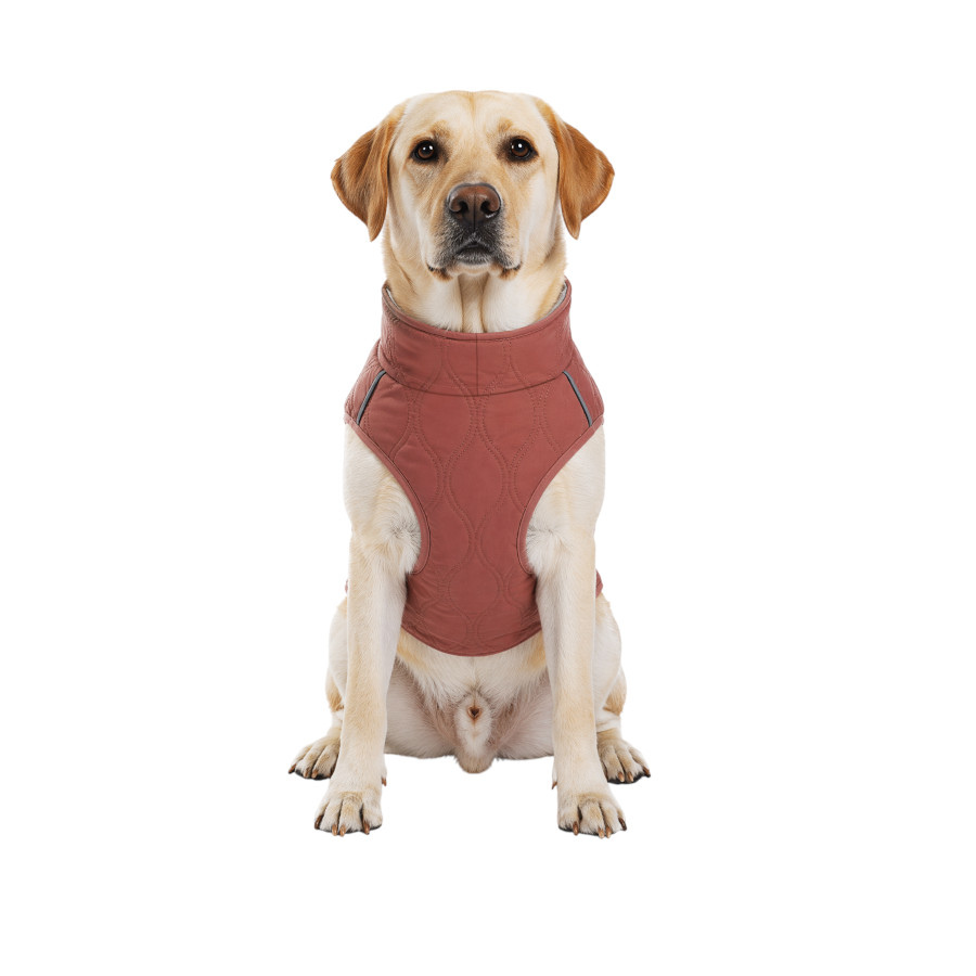 Gotoo Chaqueta Rosa para perros, , large Imagen numero 7