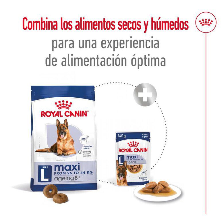Royal Canin Maxi Ageing 8+ pienso para perros thumbnail