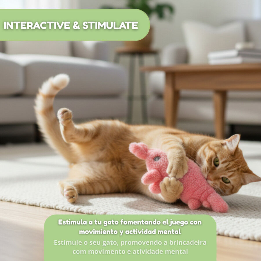 Tootoy! Juguete Interactivo Langosta para gatos, , large Imagen numero 5