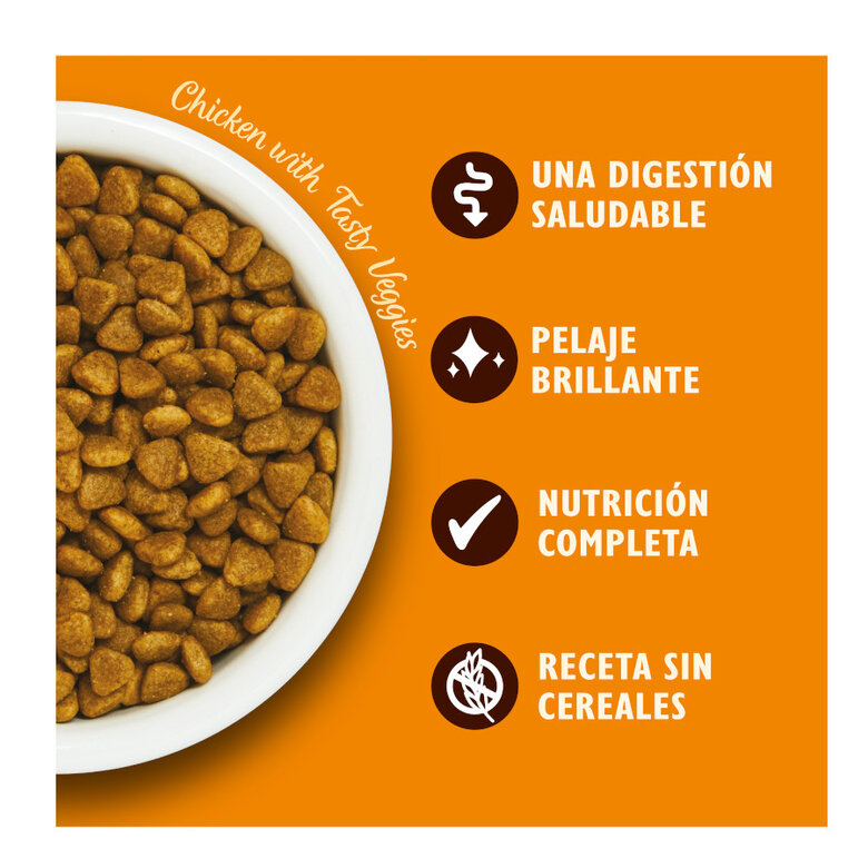 4 kg Lily's Kitchen Grain Free Pollo pienso para gatos,  Imagen numero 3 4 kg Lily's Kitchen Grain Free Pollo pienso para gatos, , large Imagen numero 3