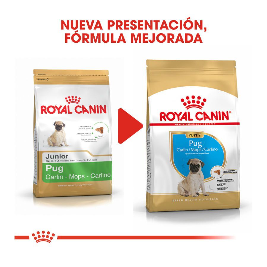 Royal Canin Puppy Pug pienso para perros thumbnail