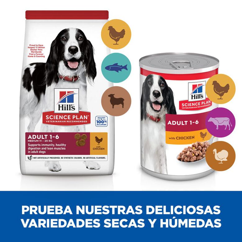 Hill&#039;s Science Plan Adult Medium Pollo pienso para perros thumbnail