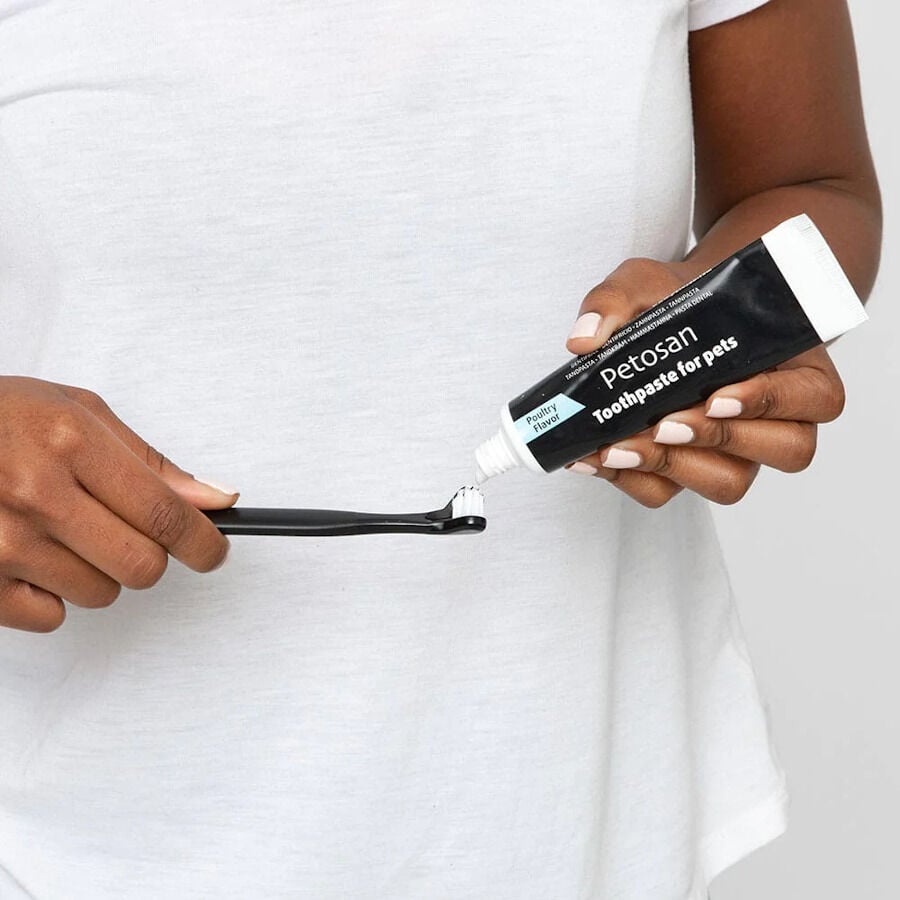 Petosan Kit de Limpieza Dental para perros medianos thumbnail