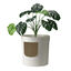 Nova Clean Planter Arenero para gatos, , large indicador imagen numero 1