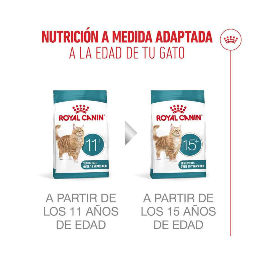 Royal Canin Ageing 11+ pienso para gatos thumbnail