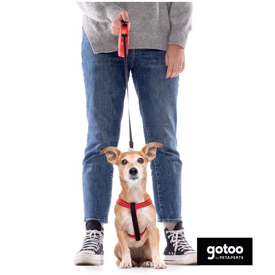 Gotoo Correa extensible roja para perros, , large Imagen numero 3