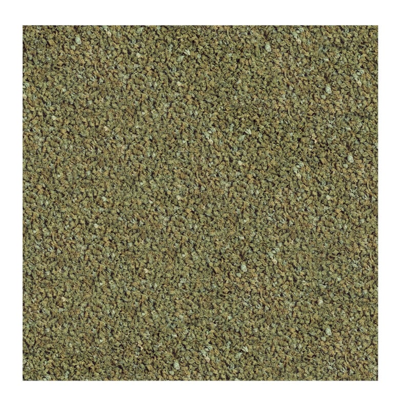 Sera Guppy Gran Alimento Vegetal para peces,  Imagen numero 2 Sera Guppy Gran Alimento Vegetal para peces, , large Imagen numero 2