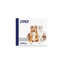Vetplus Lypex Suplemento en Comprimidos para perros, , large indicador imagen numero 1