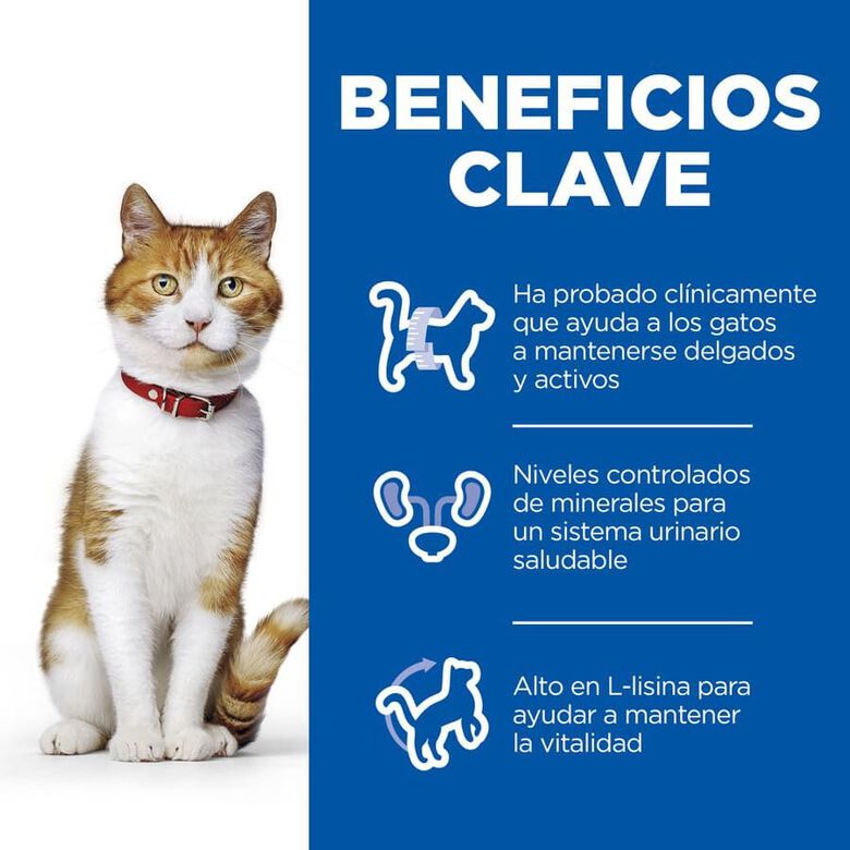 Hill&#039;s Science Plan Sterilised Young Adult Trucha Sobre en Salsa para gatos thumbnail