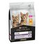 3 kg Pro Plan Kitten Pollo pienso para gatitos, , large indicador imagen numero 1